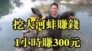 农村野河里比头还大的河蚌老板出高价购买，阿琪捞一个小时赚300块，赚翻了【农村阿琪】