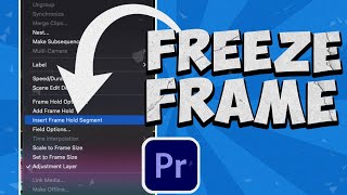 How to FREEZE Frame in Premiere Pro 2023 | Editing Tutorial