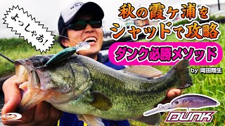 秋の霞ヶ浦をシャッドで攻略！ダンク必勝メソッド公開！【岡田翔生】