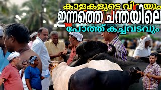 ✨ഇന്നത്തെ ചന്തയിലെ🐂കാളകളുടെ വിലയും💸🐃പോത്ത് കച്ചവടവുംChattiparamba Chanda today#chattiparamba#chantha