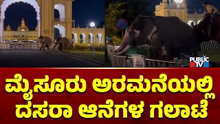 ಮೈಸೂರು ಅರಮನೆಯಲ್ಲಿ ದಸರಾ ಆನೆಗಳ ಗಲಾಟೆ | Mysuru Dasara Elephant Fight  | Public TV