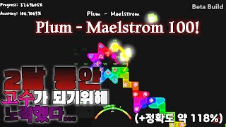 [ADOFAI CUSTOM] 결국 해냈습니다.... Plum - Maelstrom 100%! [Map by RedCRP]