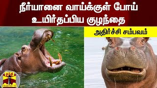 நீர்யானை வாய்க்குள் போய் உயிர்தப்பிய குழந்தை - அதிர்ச்சி சம்பவம்