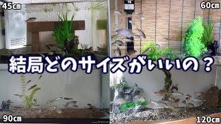 【川魚飼育】水槽のサイズについて。色んな水槽で飼育した私がそれぞれのメリット・デメリットまとめてみました