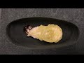 time lapse pupation of a beetle at 30 times speed