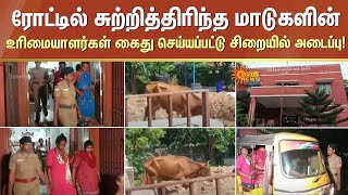 ரோட்டில் சுற்றித்திரிந்த மாடுகளின்உரிமையாளர்கள் கைது செய்யப்பட்டு சிறையில் அடைப்பு! | Sun News