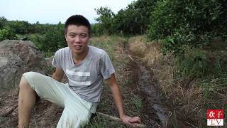 欢子TV创业记:冒着高温修果园水渠,欢子玩泥巴比孩子们还开心 【欢子TV】