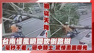 【點新聞】禍從天降！#台南 怪風瞬間吹倒#路樹　「毫秒不差」砸中騎士 驚悚畫面曝光