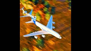 Which is the fastest passenger plane? #plane #avgeek #concorde