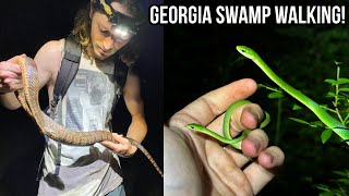 This Swamp is FULL of Snakes and Turtles! Summer Night Shining for Snakes and more!