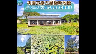 桃園觀音崙坪文化地景園區|巨型烏龜殼躺草地成新亮點！美拍1.5萬坪綠地蓮花池體驗客家文化