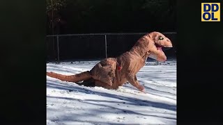 TRY NOT TO LAUGH WATCHING FUNNY *SNOW* FAILS VIDEOS 2022 #163