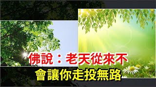 佛說：老天從來不會讓你走投無路，[心靈驛站]