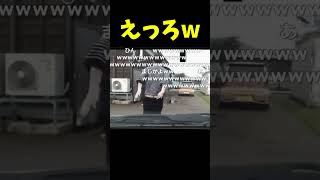 去り際にケツ出す加藤純一 #shorts【加藤純一/うんこちゃん/切り抜き】