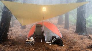 MASSIVE Rain Storm Wild Camp