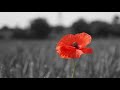 Lone Soldier
