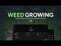 Lation Weed v4 | The Most Complete FiveM Weed Script (QB/Qbox/ESX)
