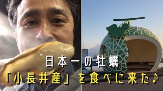 日本一の牡蠣　諫早「小長井産」を食べに来た♪