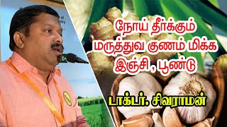 நோய் தீர்க்கும் மருத்துவ குணம் மிக்க இஞ்சி பூண்டு வெந்தயம்  | Doctor Sivaraman Speech |