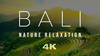 BALI Nature Relaxation Drone Film. ZEN Meditation Music Relax Mind Body. Yoga Music, Spa, Massage