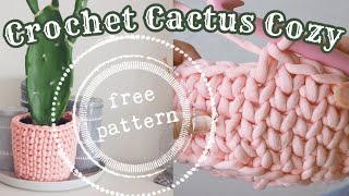 How To Crochet A Planter Cover - The Cactus Cozy, Free Pattern