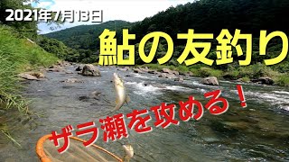 【鮎の友釣り】NO20　2021年7月13日　増水していたのでザラ瀬を攻めてみました。目印が吹っ飛ぶようなアタリが楽しめました。