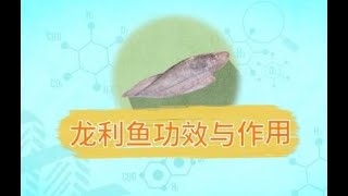 龍利魚功效與作用