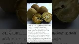 சப்போட்டா பழத்தின் நன்மைகள்//health short//pls subscribe my channel//@kmtamil pharmacist