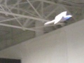 festo s bionic smartbird s inaugural flight in canada