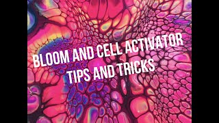 #104  Bloom and cell activator tips and tricks @kreationsbykristey