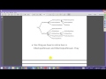 Input Output Stream