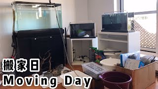 VLOG: 搬家日｜Moving Day