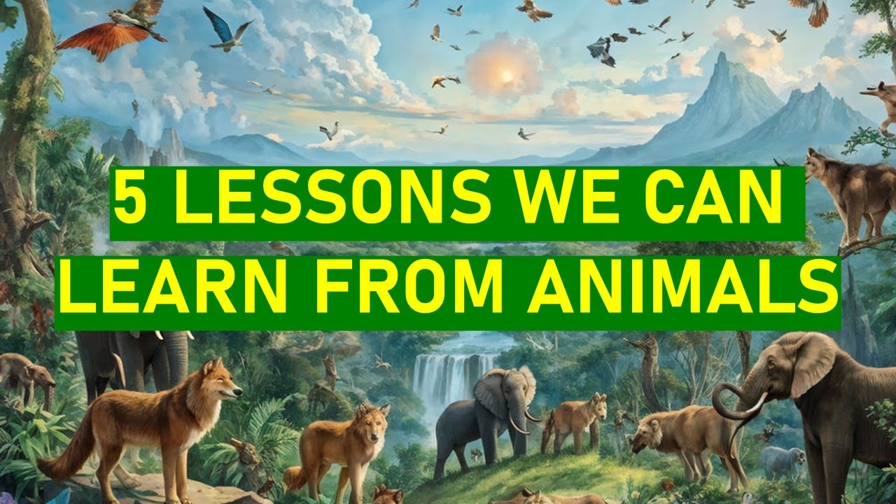 Five Lessons We Can Learn From Animals Youtube