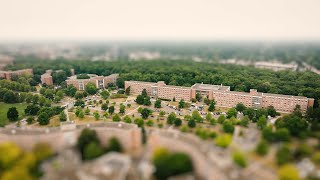 MSU in Miniature | Move-in Week