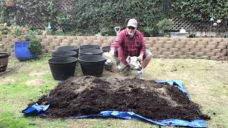 How to revitalize old potting soil |container gardening