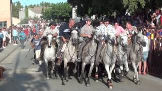 bandido bouillargue manade albert chapelle