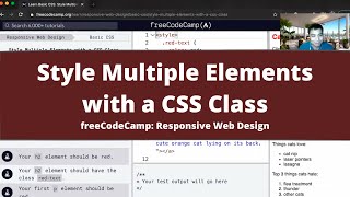 Style Multiple Elements with a CSS Class (Basic CSS) freeCodeCamp tutorial