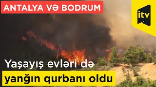 Antalya və Bodrumda yaşayış evləri də yanğın qurbanı oldu