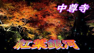 絶景　紅葉ライトアップ　中尊寺　奥州平泉　世界遺産　パワースポット　Illuminated autumn leaves Chusonji World Heritage Site 夜にヒカル