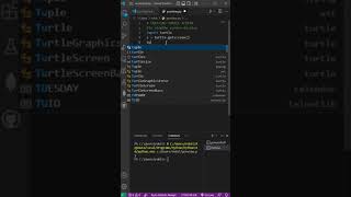 Create A Turtle 🐢 Screen In Python | Python Programming Project | Python Tutorial #shorts #python