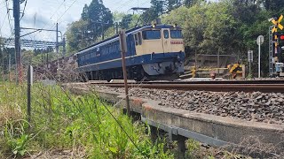 2022/04/19 EF65 2067 Japan Train