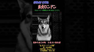 名犬ロンドン #straycats