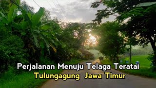 Perjalanan Menuju Telaga Teratai Tulungagung di Masa Penutupan Kawasan Wisata