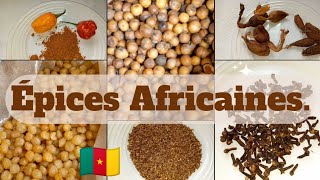 Connaissais- tu certaines de ces épices ?🤭ÉPICES CAMEROUNAISES// ÉPICES AFRICAINES et d'ailleurs.