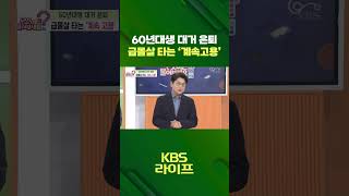 60년대생 대거 은퇴 🙇‍♂️ 급몰살 타는 '계속고용' 🏃‍➡️  [무엇이든 물어보세요] | KBS 방송