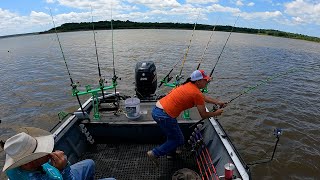 Bluecats were biting all over the lake