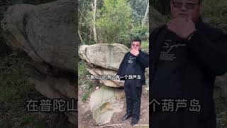 这是普陀山最大千年蛇王，可以绕岛三圈！