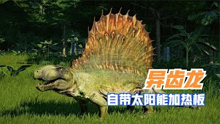 2.9亿年前的异齿猛兽，自带太阳能加热板，异齿龙到底有多奇葩？|Dimetrodon【马丁新视界】