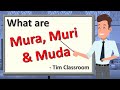 Mura, Muri, Muda (3M)