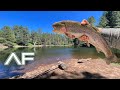 TROUT FISHING IN A TINY ARIZONA GAME TANK!!! (Constant Action)